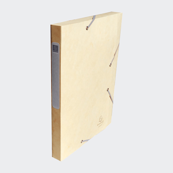 EXACOMPTA Sammelbox Cartobox, DIN A4, 25 mm